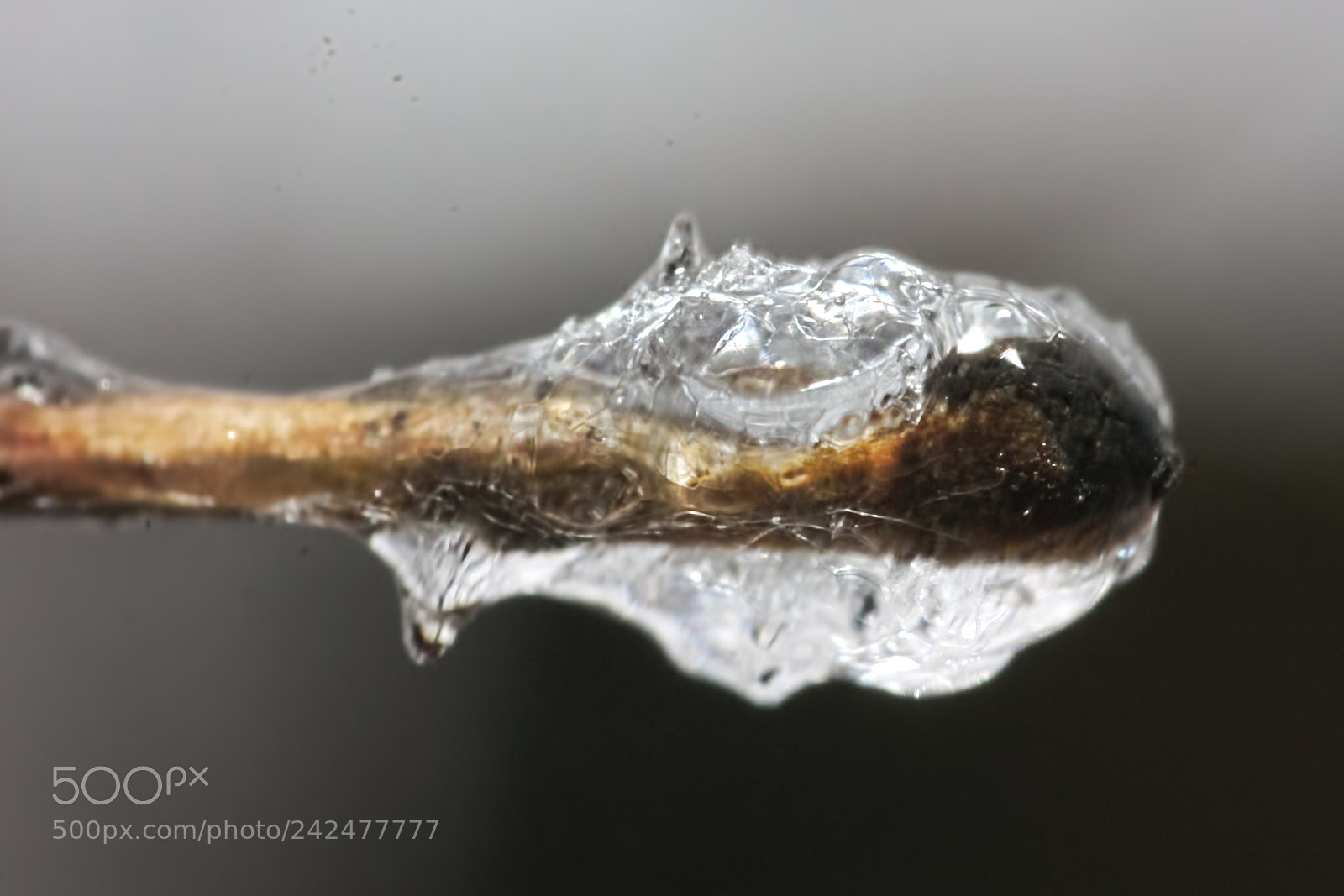Canon EF-S 18-55mm F3.5-5.6 II sample photo. Frozen photography