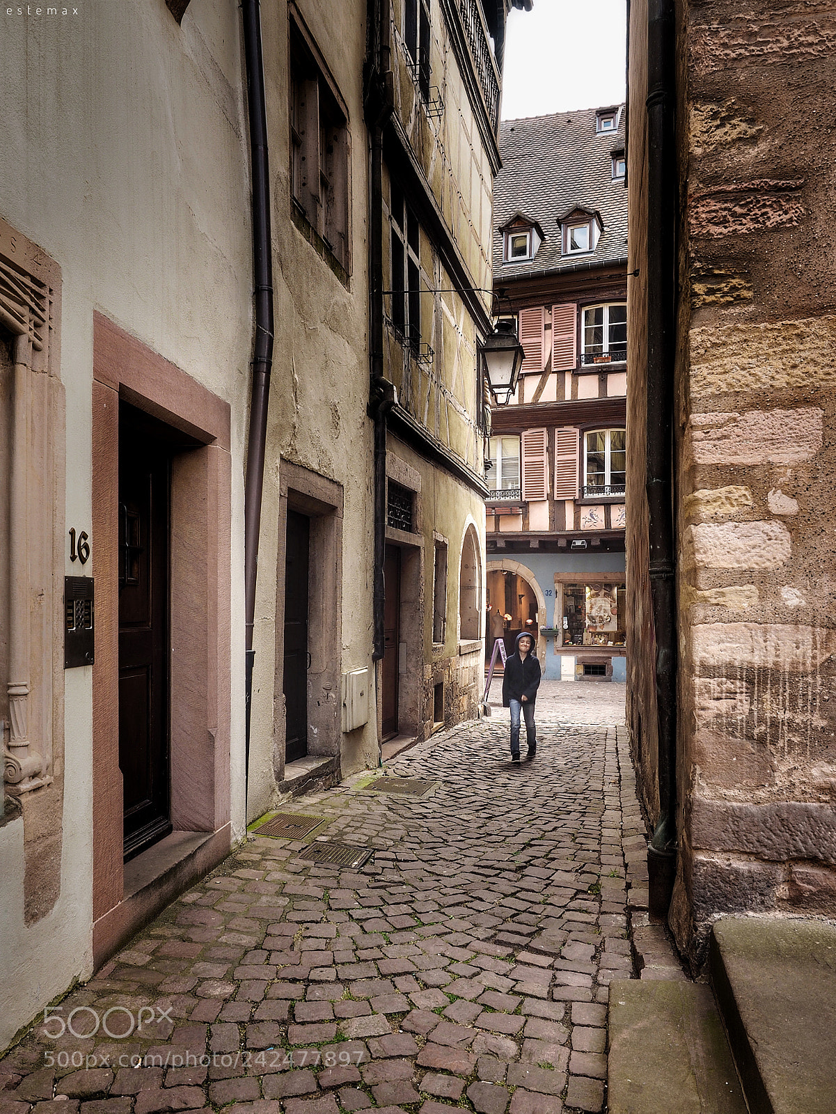 Olympus OM-D E-M1 sample photo. Petite note de pastel photography