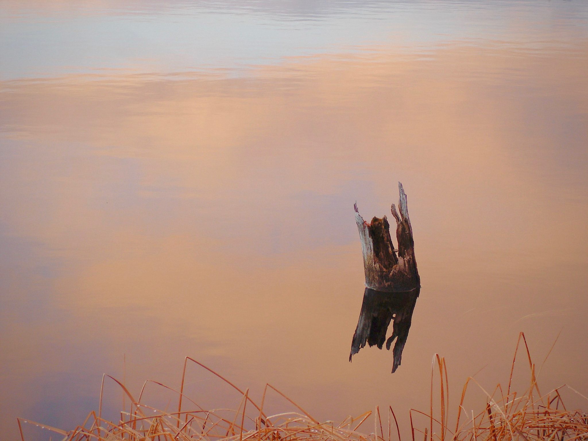 Sony DSC-W1 sample photo. Peaceful morning photography