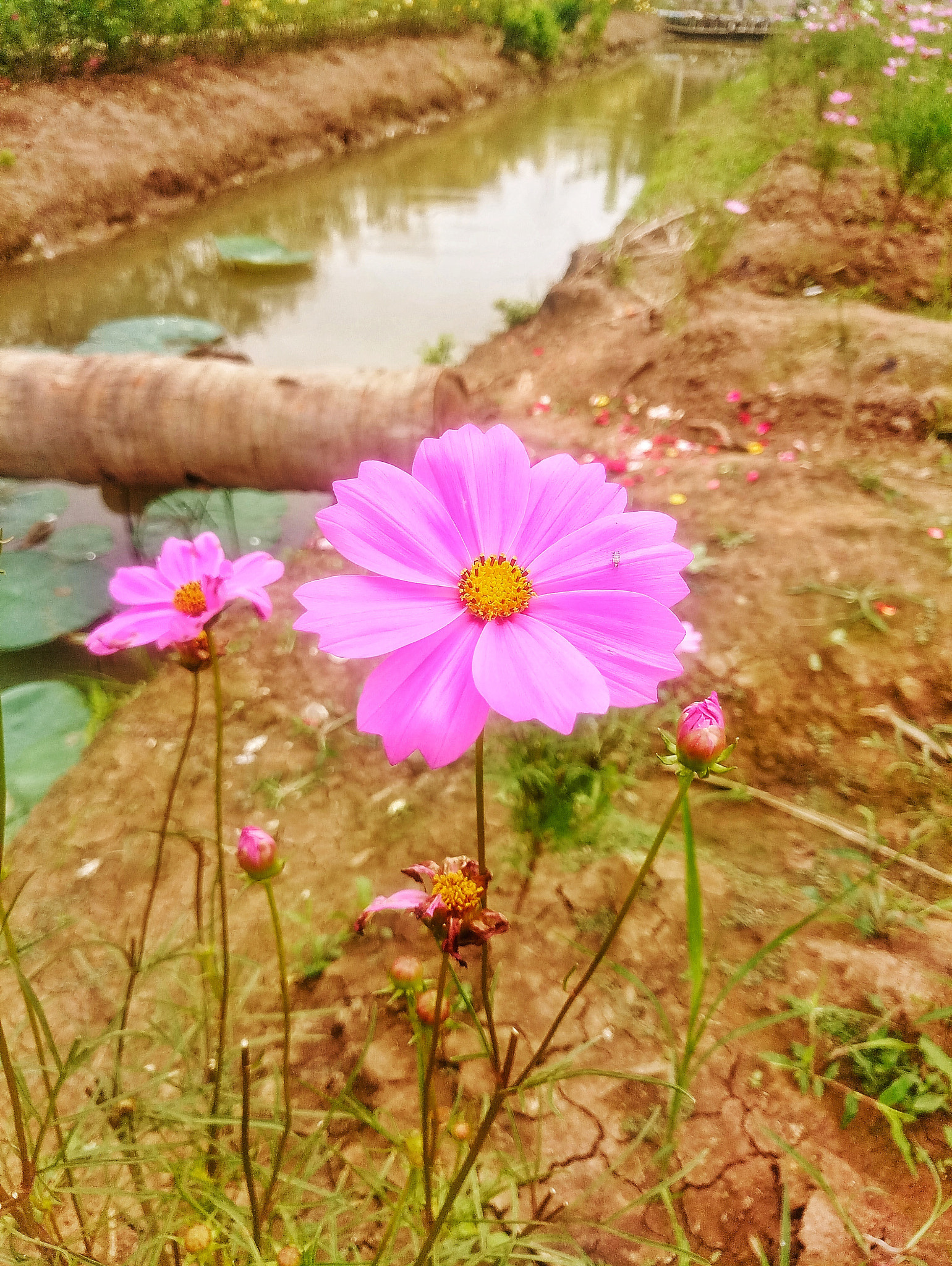 Meizu MX6 sample photo