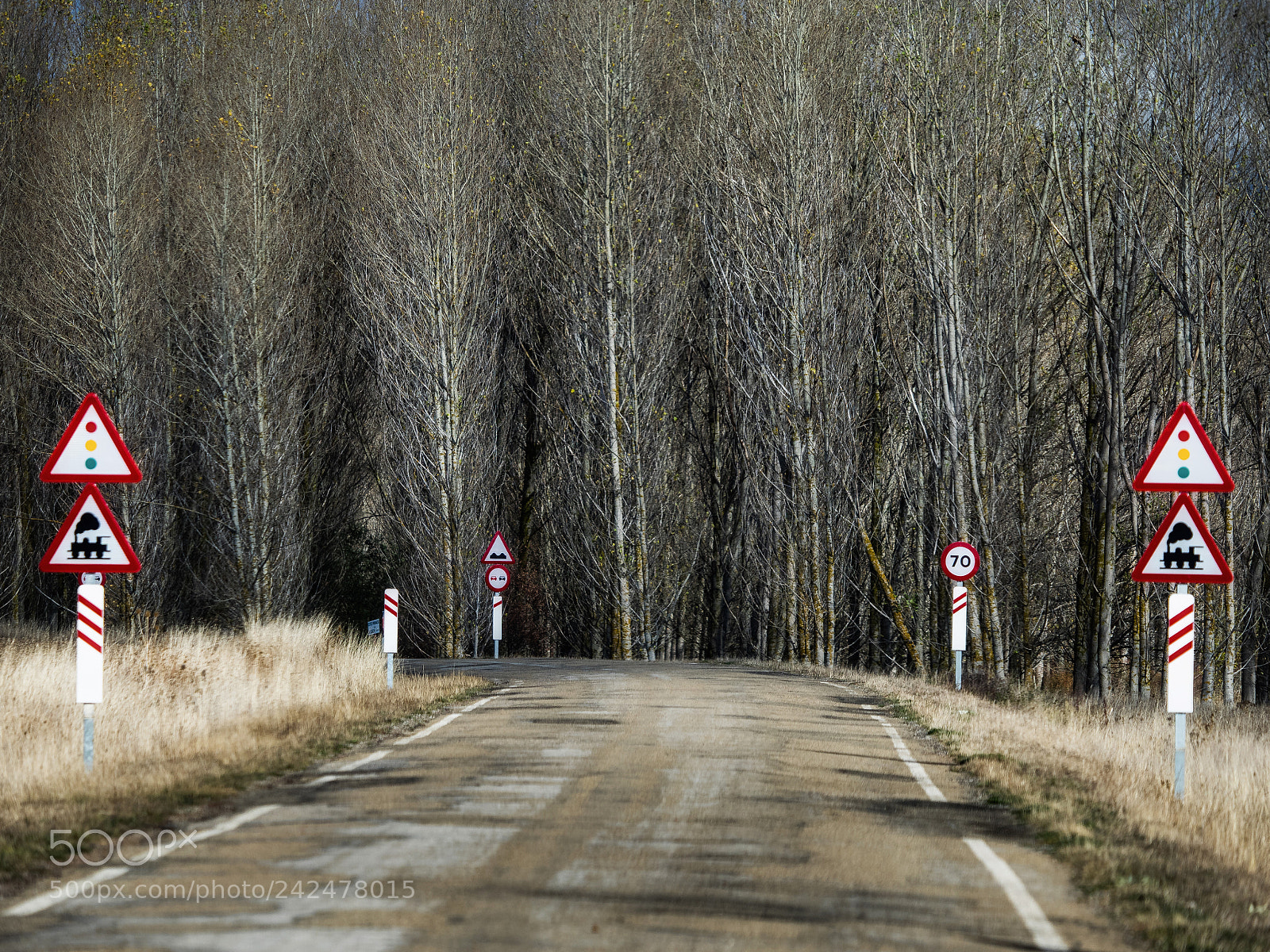 Olympus OM-D E-M1 sample photo. Road scapes photography