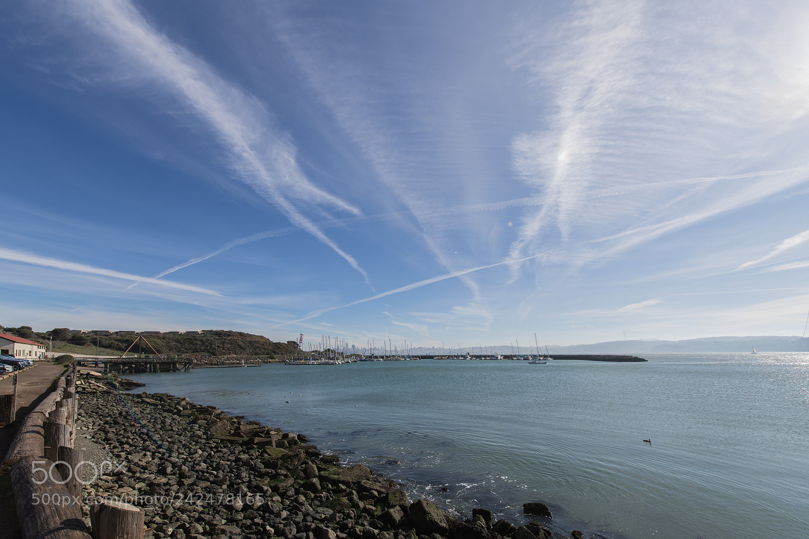 Nikon D850 sample photo. San francisco bay photography