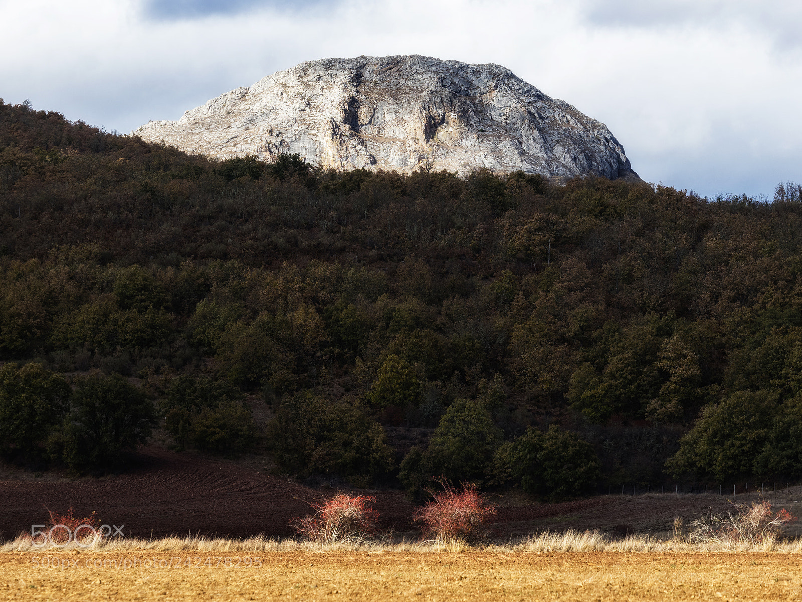 Olympus OM-D E-M1 sample photo. The rock photography
