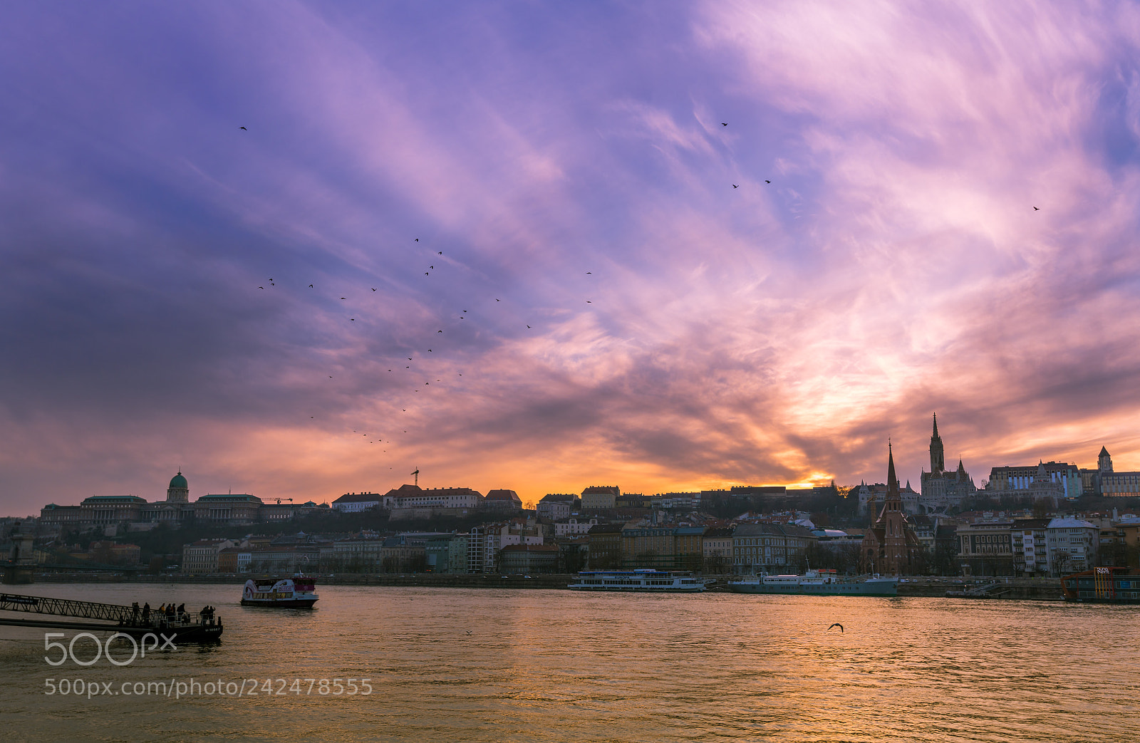 Nikon D850 sample photo. Sunset over the danube photography
