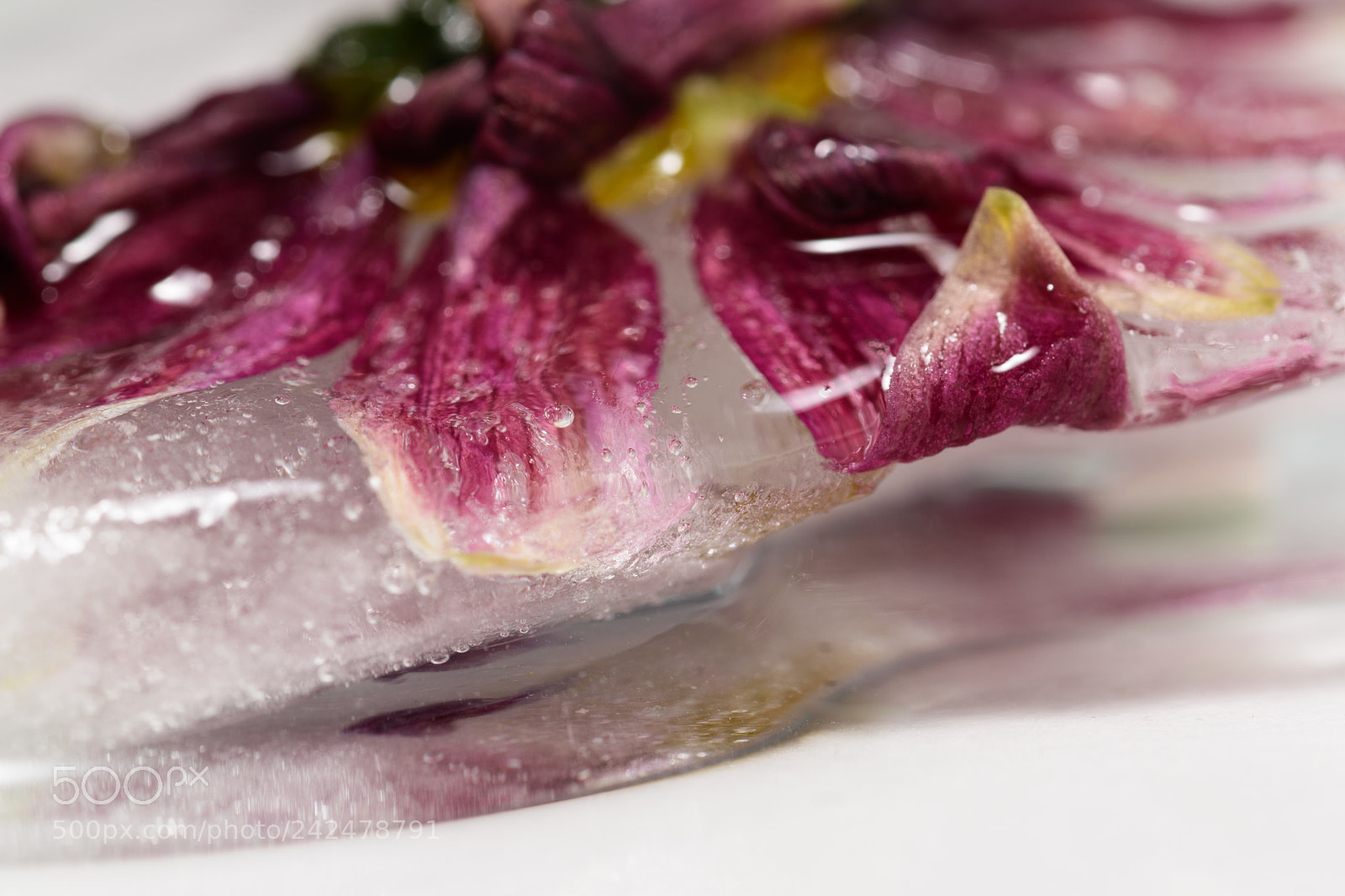 Nikon D5500 sample photo. A piece of ice 2 photography