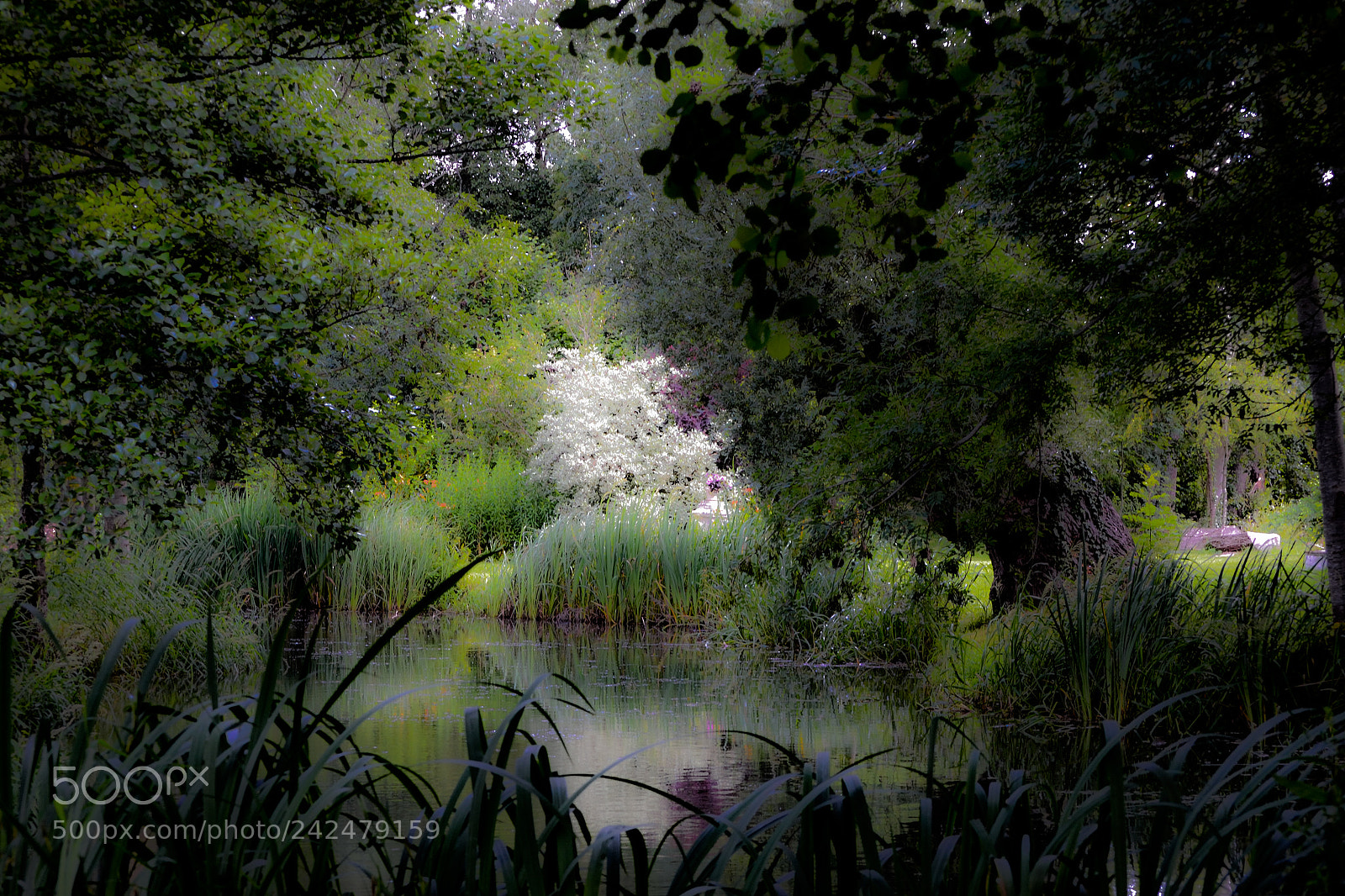 Nikon D3100 sample photo. Nature on the canvas photography