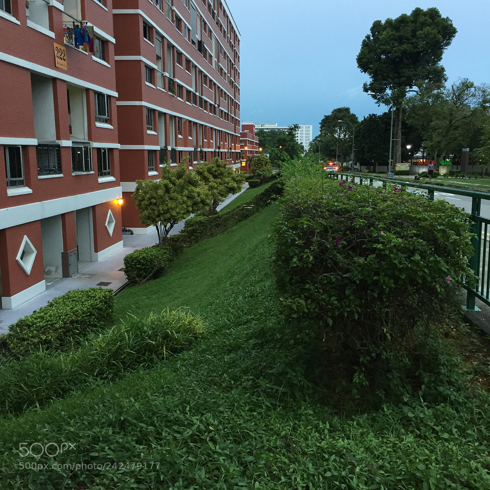 Apple iPhone 6 sample photo. 1 view-point(3) photography