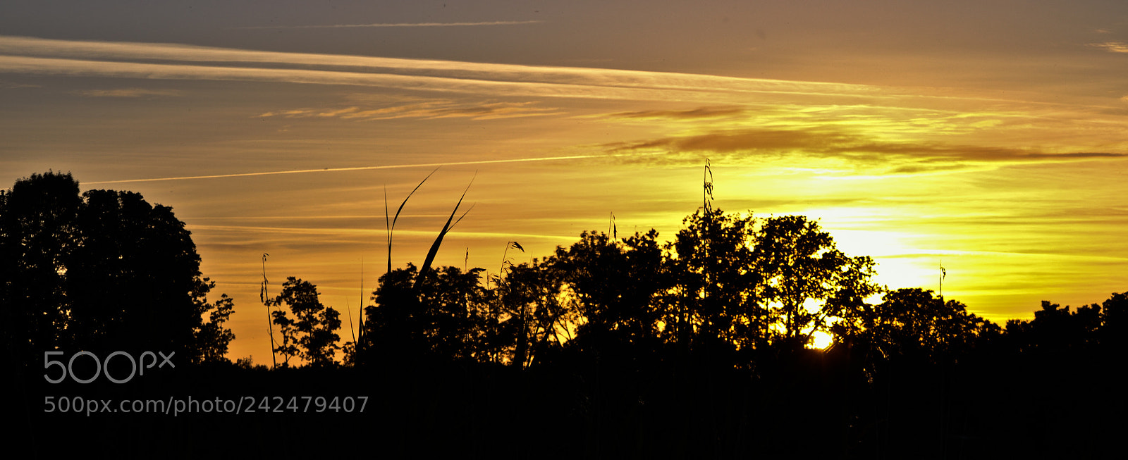 Nikon D3100 sample photo. Countryside dusk photography