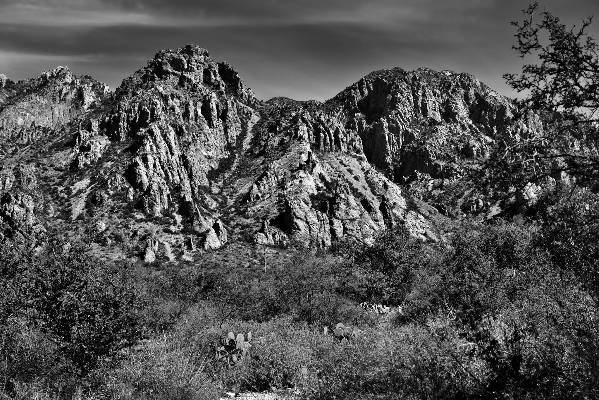 Nikon AF-S Nikkor 24-120mm F4G ED VR sample photo. A varying terrain across a mountainside in big bend national park (black & white) photography