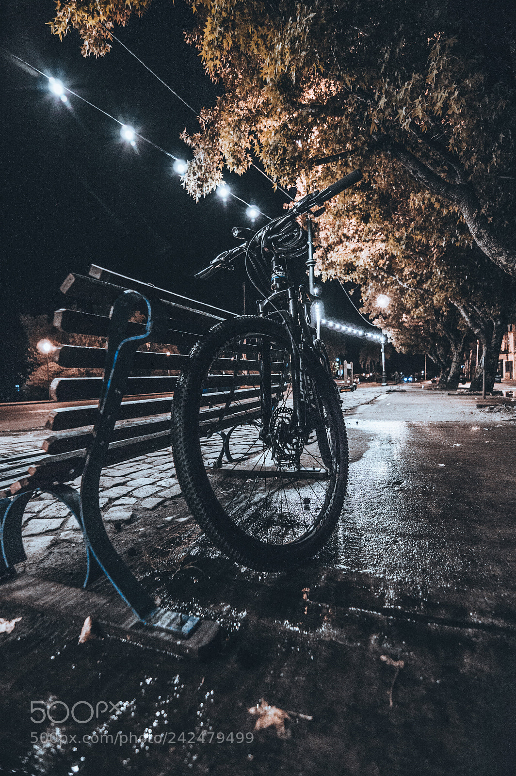 Nikon D3200 sample photo. Cleta photography