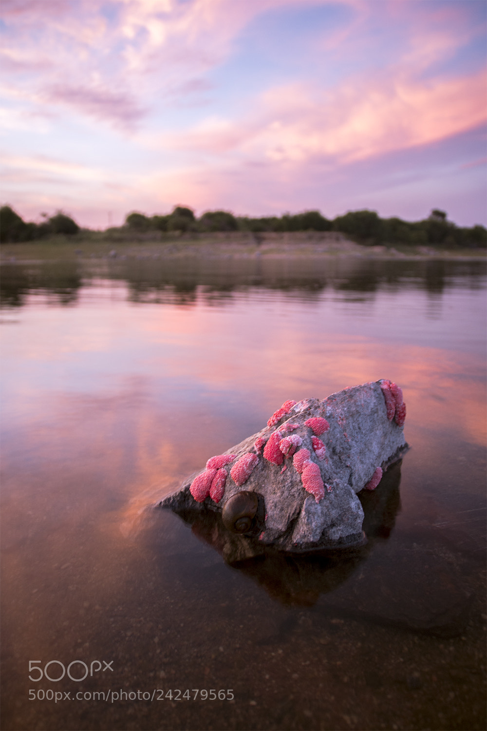 Nikon D7200 sample photo. Stone photography