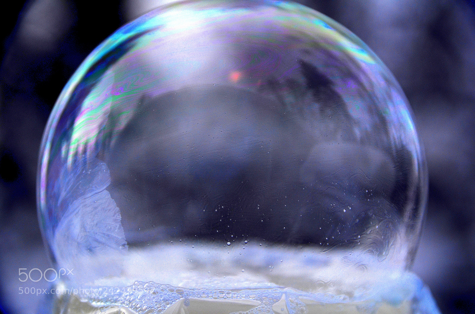 Nikon D5100 sample photo. My world in a photography