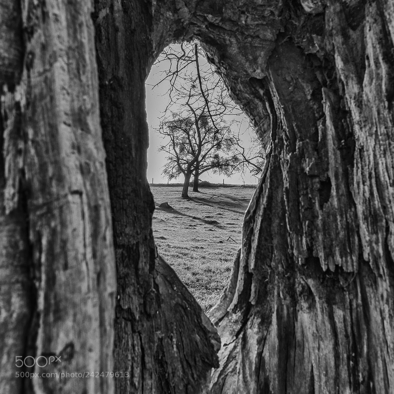 Fujifilm X-Pro1 sample photo. Room with a view photography