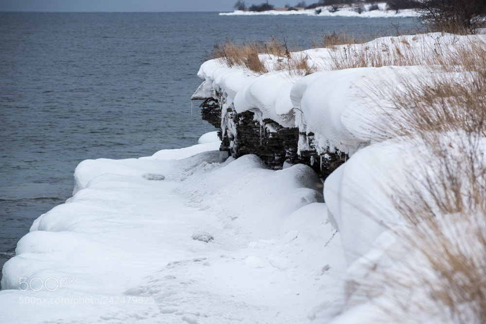 Nikon D810 sample photo. Winter beauty photography