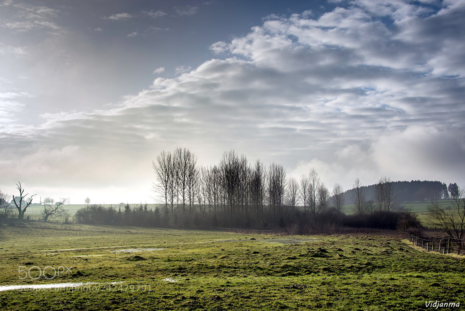 Nikon D610 sample photo. Late sunlights photography