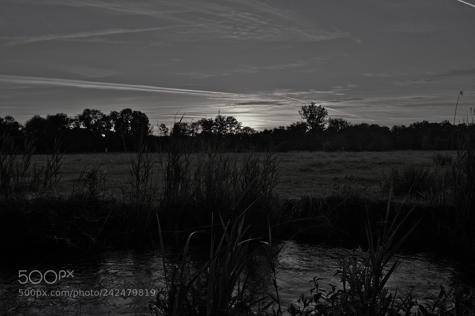 Nikon D3100 sample photo. Away from the concrete photography