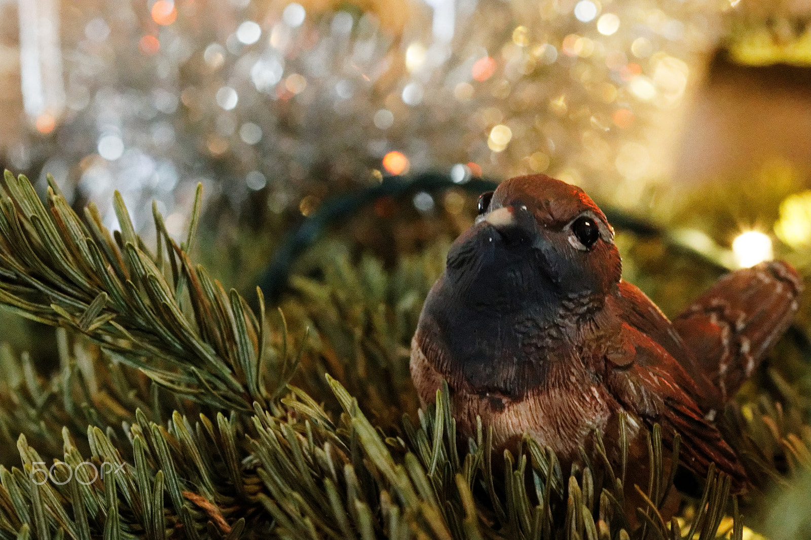 Canon EF 100mm F2.8 Macro USM sample photo. Goodbye christmas photography