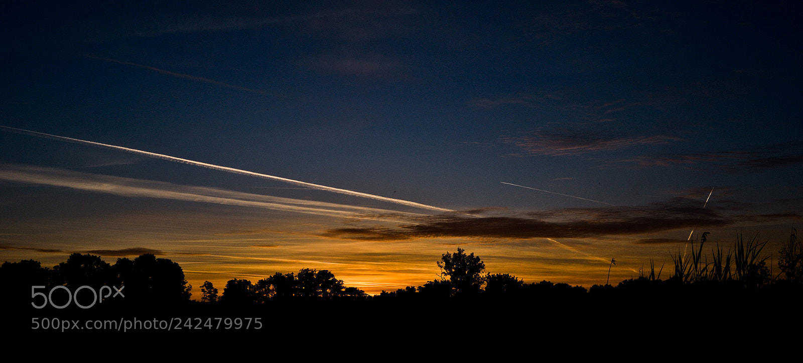 Nikon D3100 sample photo. Countryside dusk photography