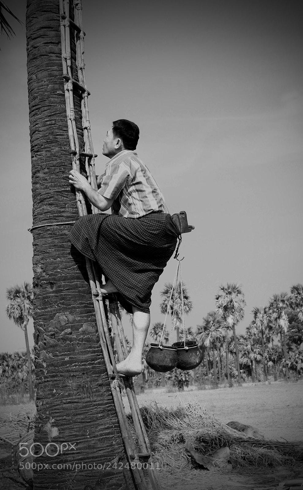 Olympus OM-D E-M5 sample photo. Man climbing up on photography