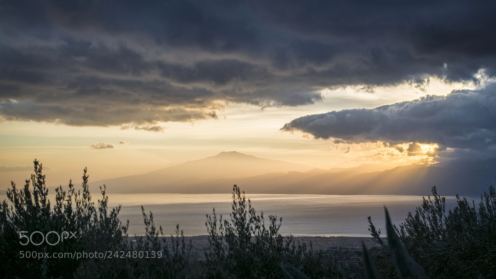 Nikon D800 sample photo. Elegant and powerfull etna photography
