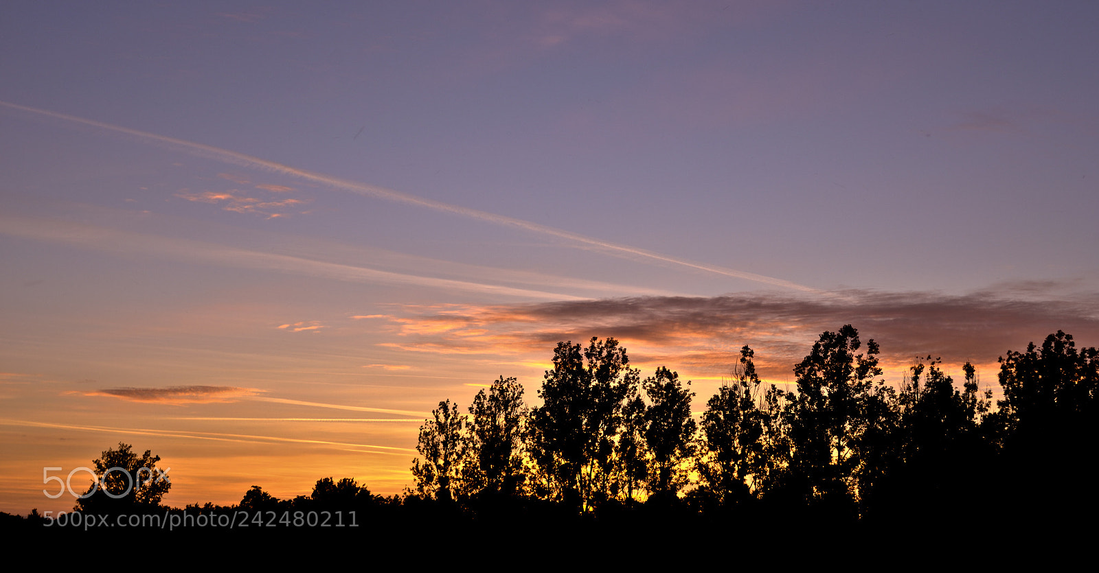 Nikon D3100 sample photo. Evening shadows photography