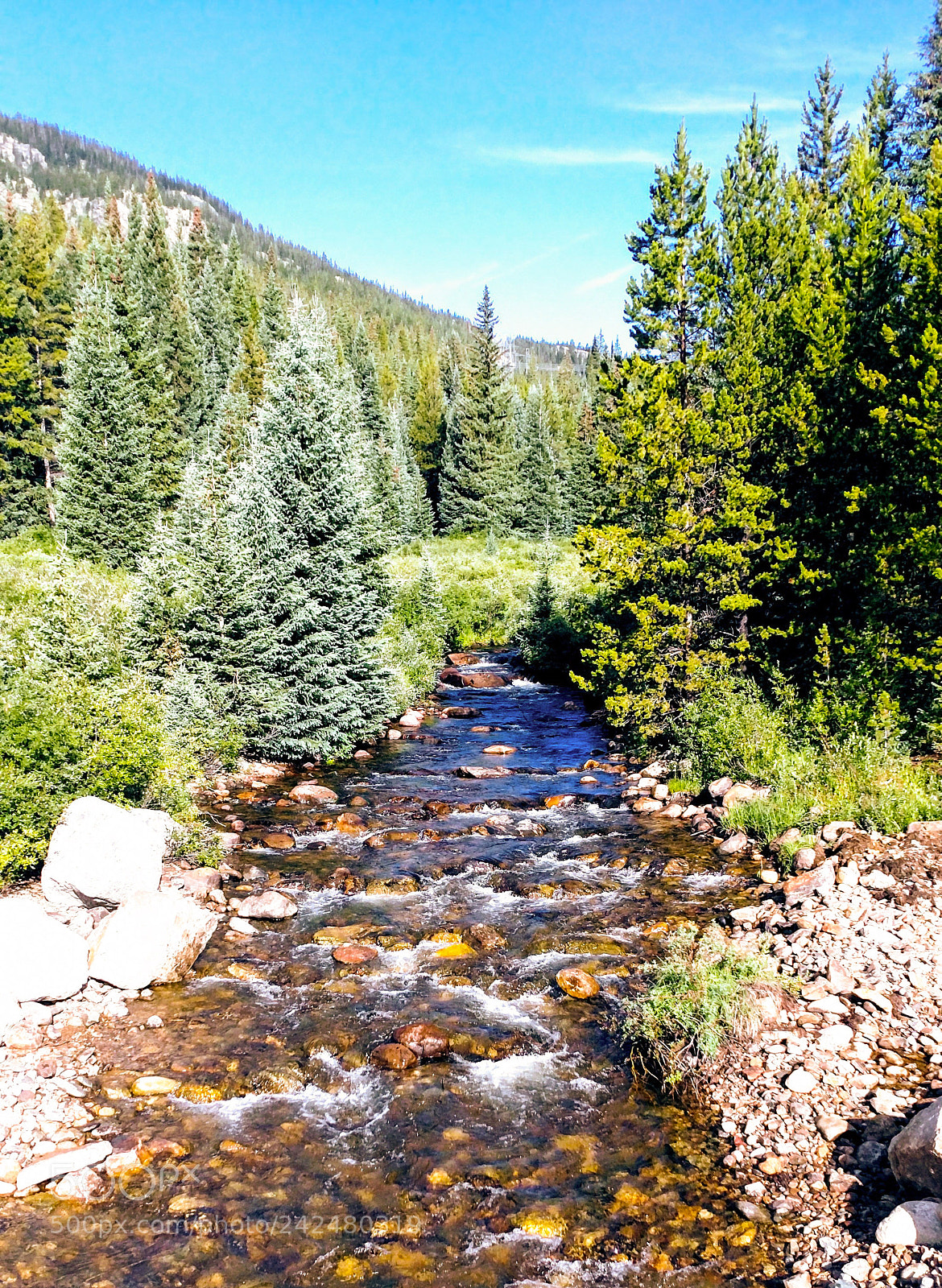 Motorola XT1650 sample photo. Mountain stream photography