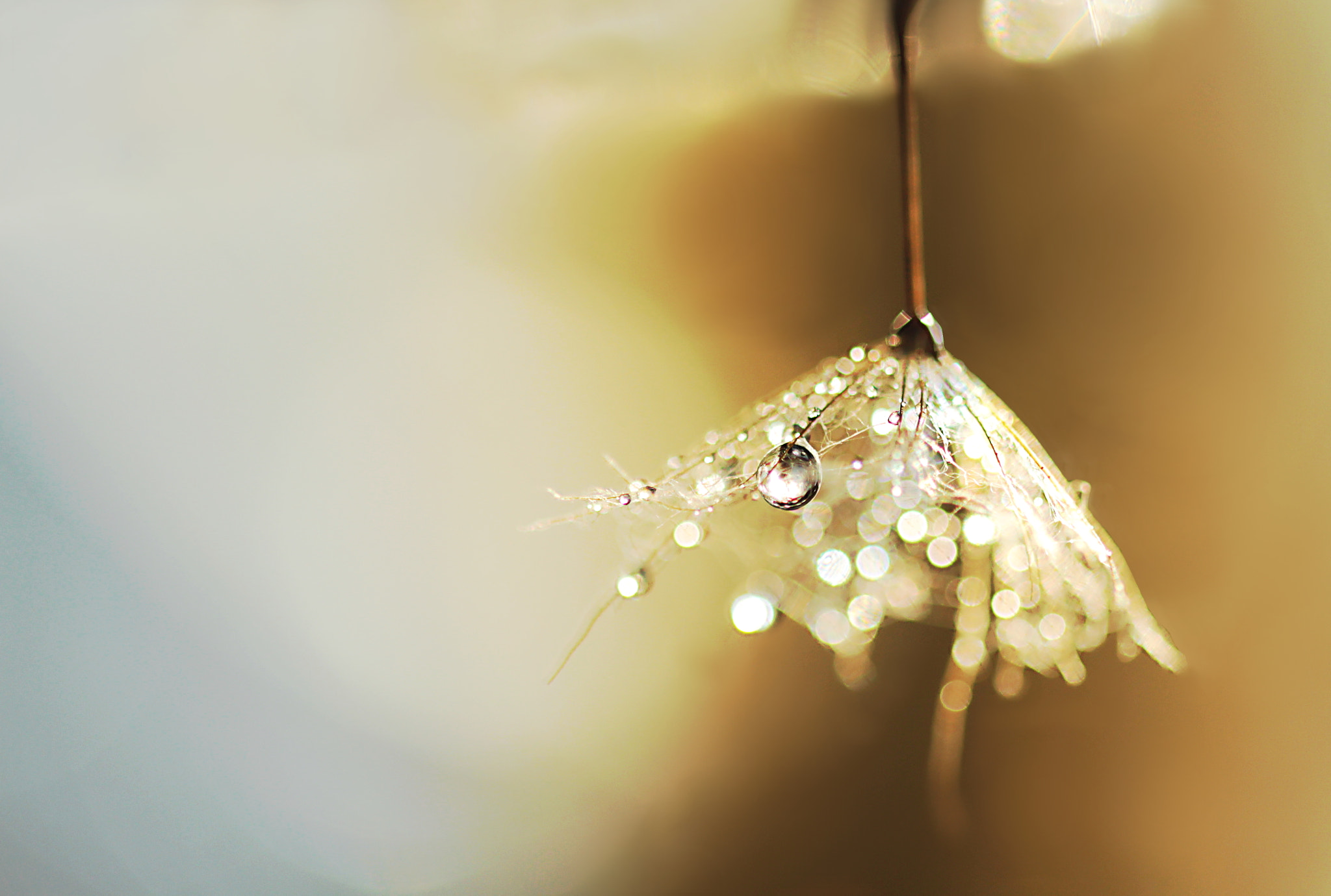 Canon EF 100mm F2.8 Macro USM sample photo. Bright lights cast dark shadows photography
