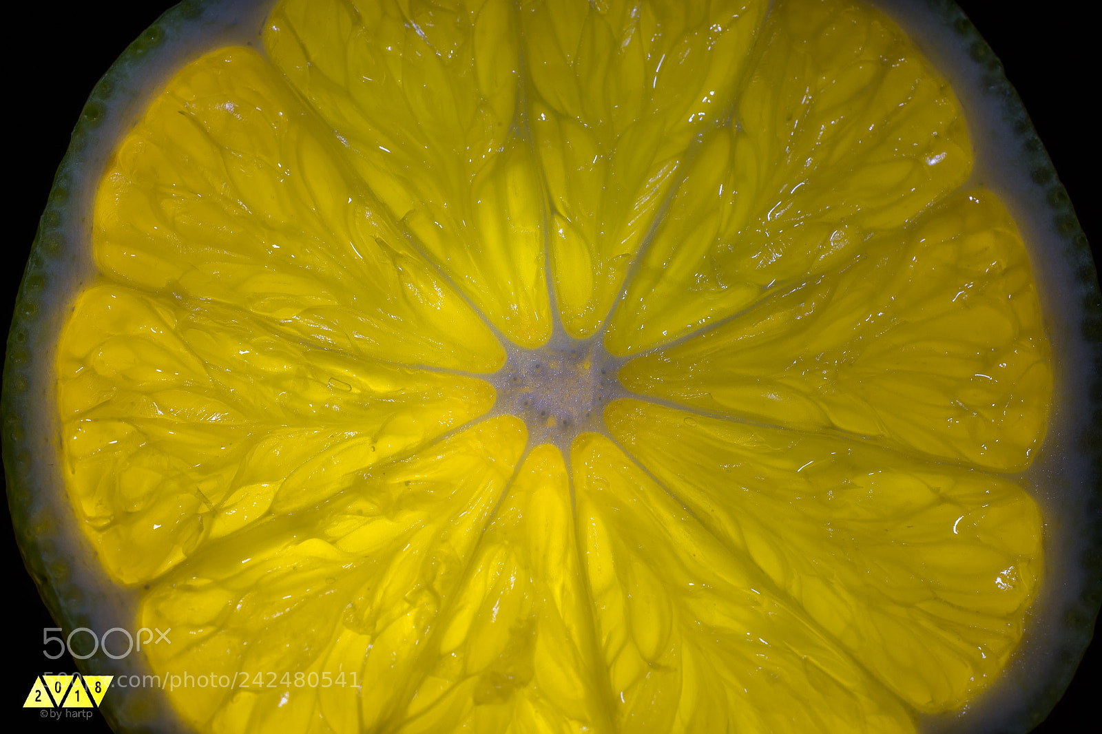 Nikon D7200 sample photo. Fresh photography