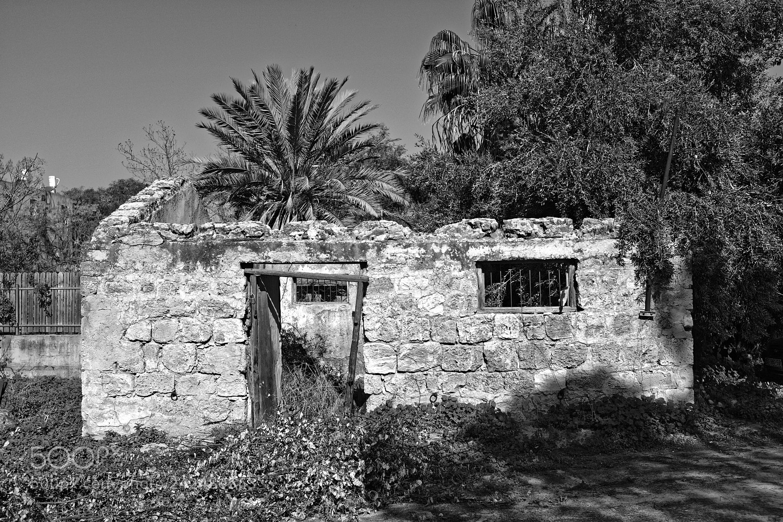Fujifilm X100F sample photo. No one home... photography