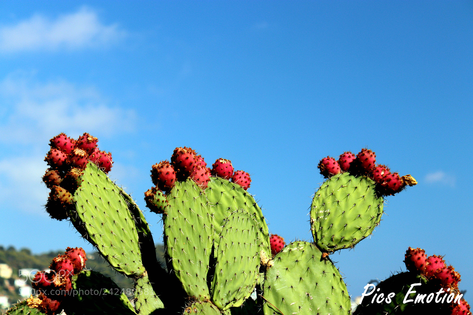 Canon EOS 77D (EOS 9000D / EOS 770D) sample photo. South of france photography