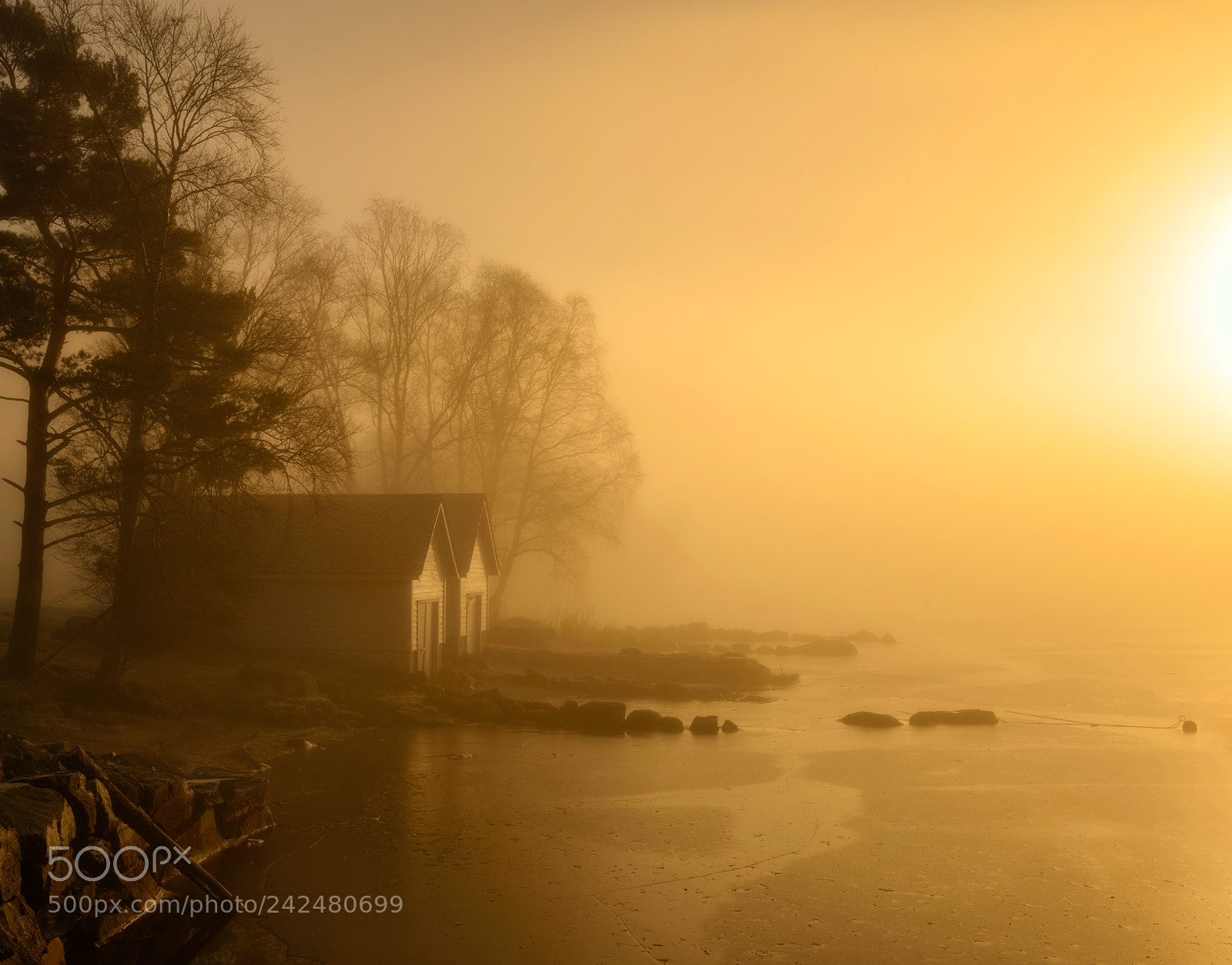 Nikon D800 sample photo. Foggy boat houses photography