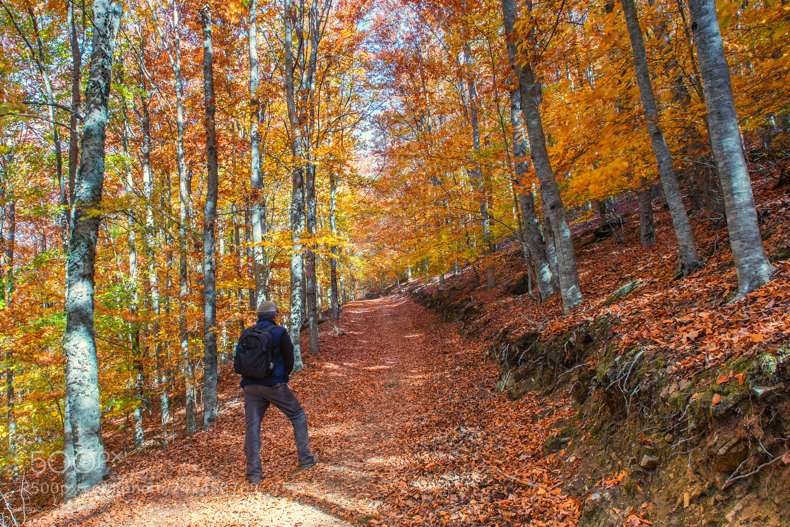 Nikon D600 sample photo. Going up photography