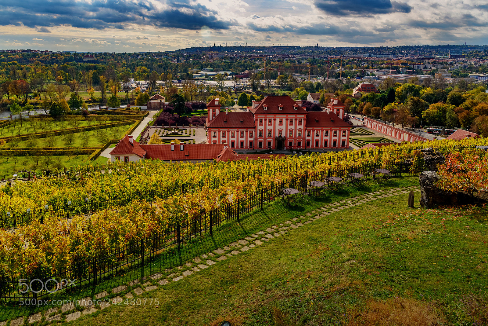 Nikon D5600 sample photo. Botanická zahrada praha ...018. photography