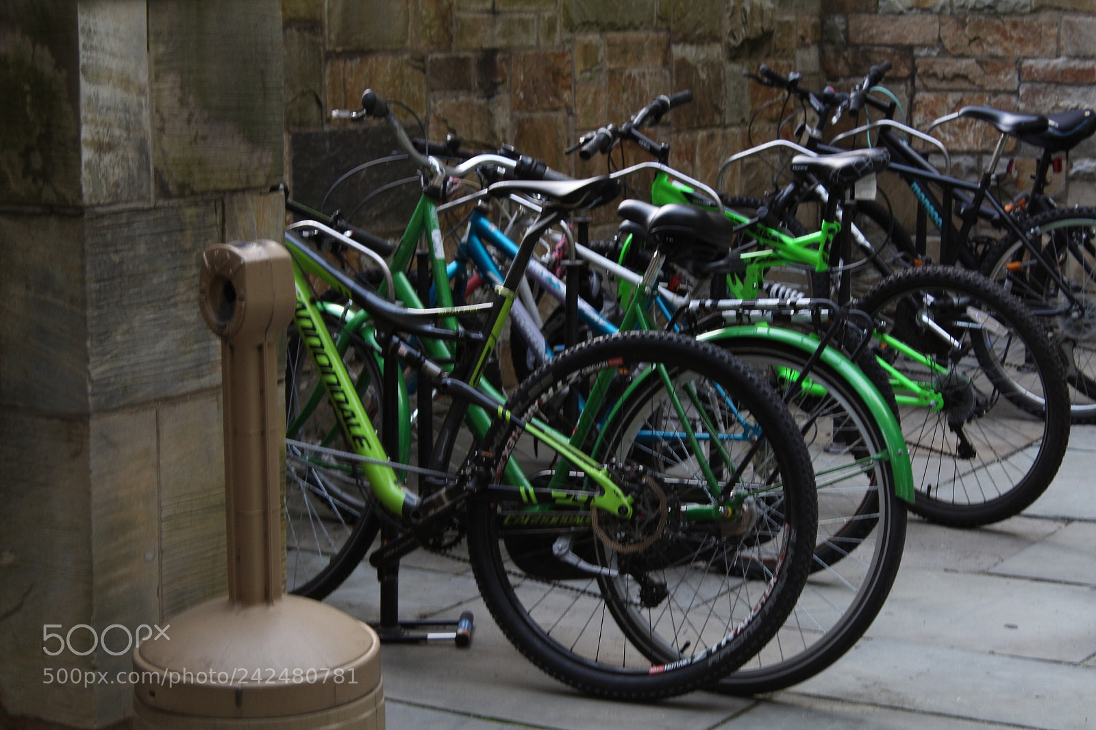 Canon EOS 1300D (EOS Rebel T6 / EOS Kiss X80) sample photo. Bikes photography