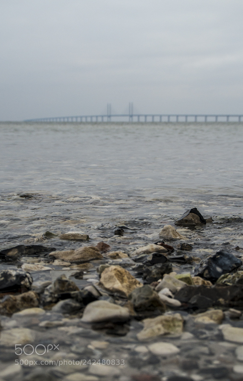Nikon D800 sample photo. Oresund bridge photography