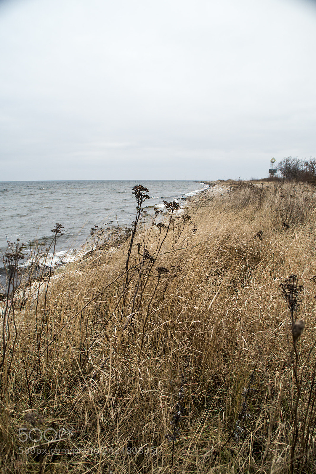 Nikon D800 sample photo. Seashore photography