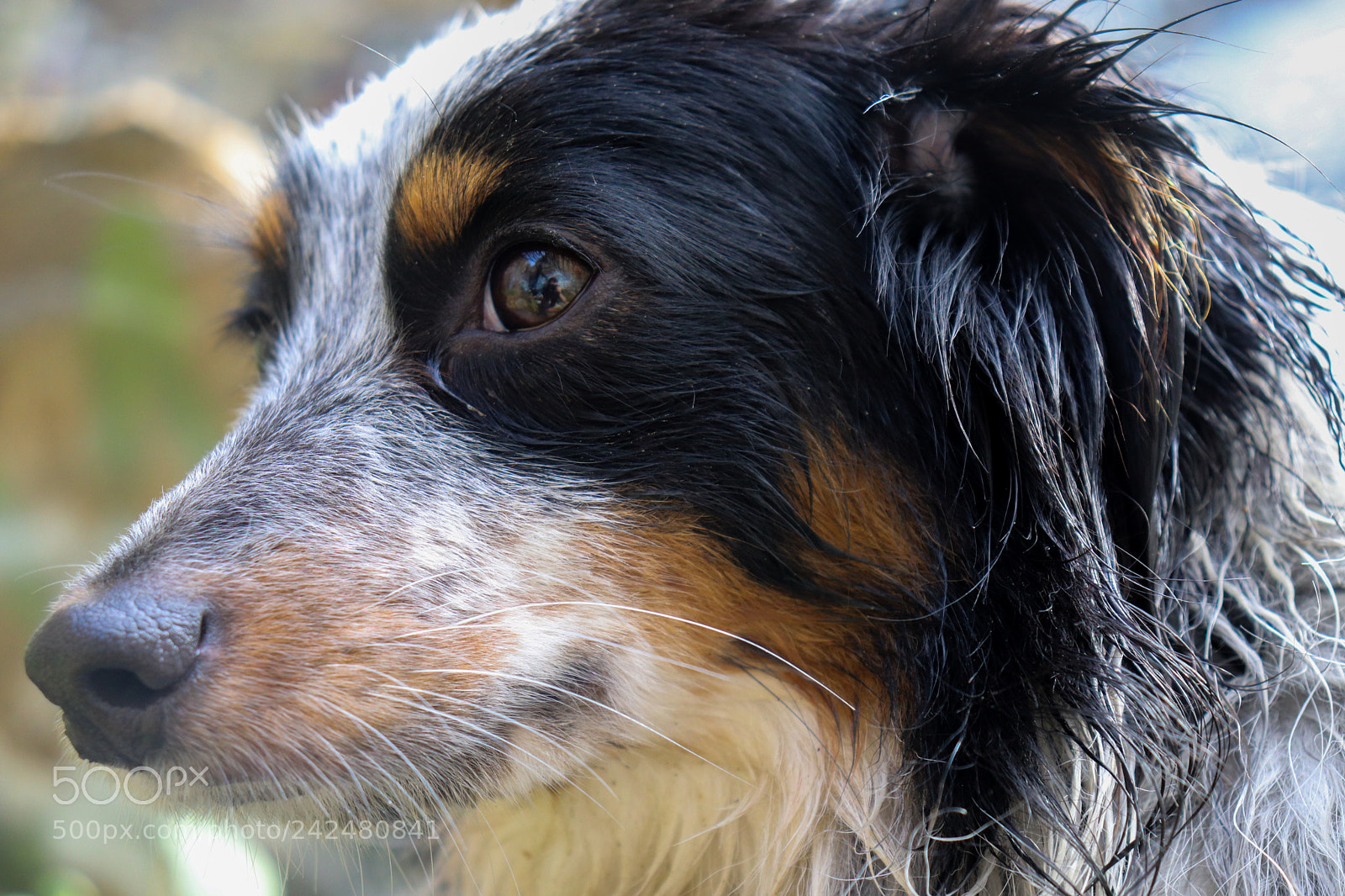 Canon EOS 800D (EOS Rebel T7i / EOS Kiss X9i) sample photo. Bath time photography