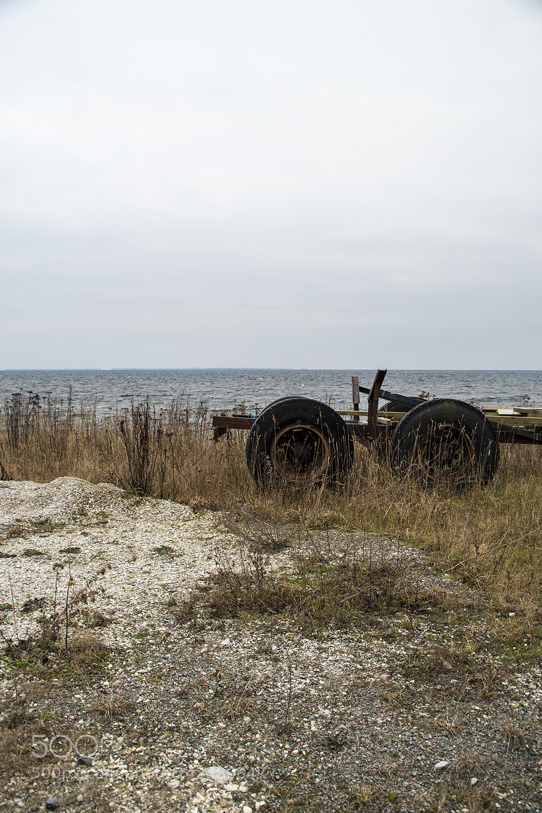 Nikon D800 sample photo. Garbage photography