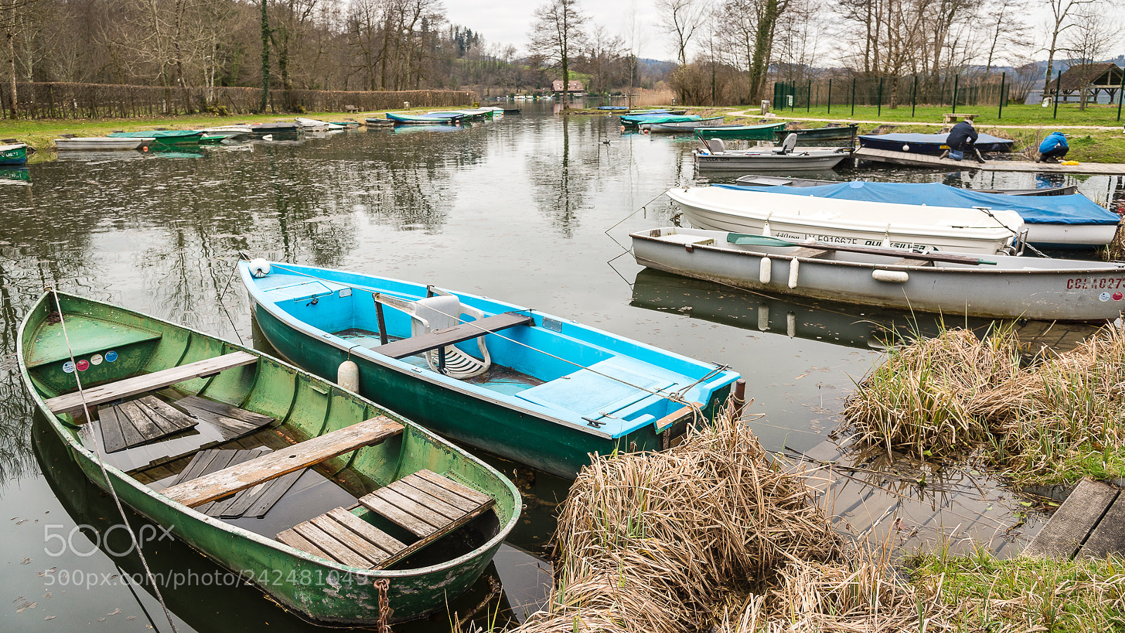Nikon D610 sample photo. Barques photography
