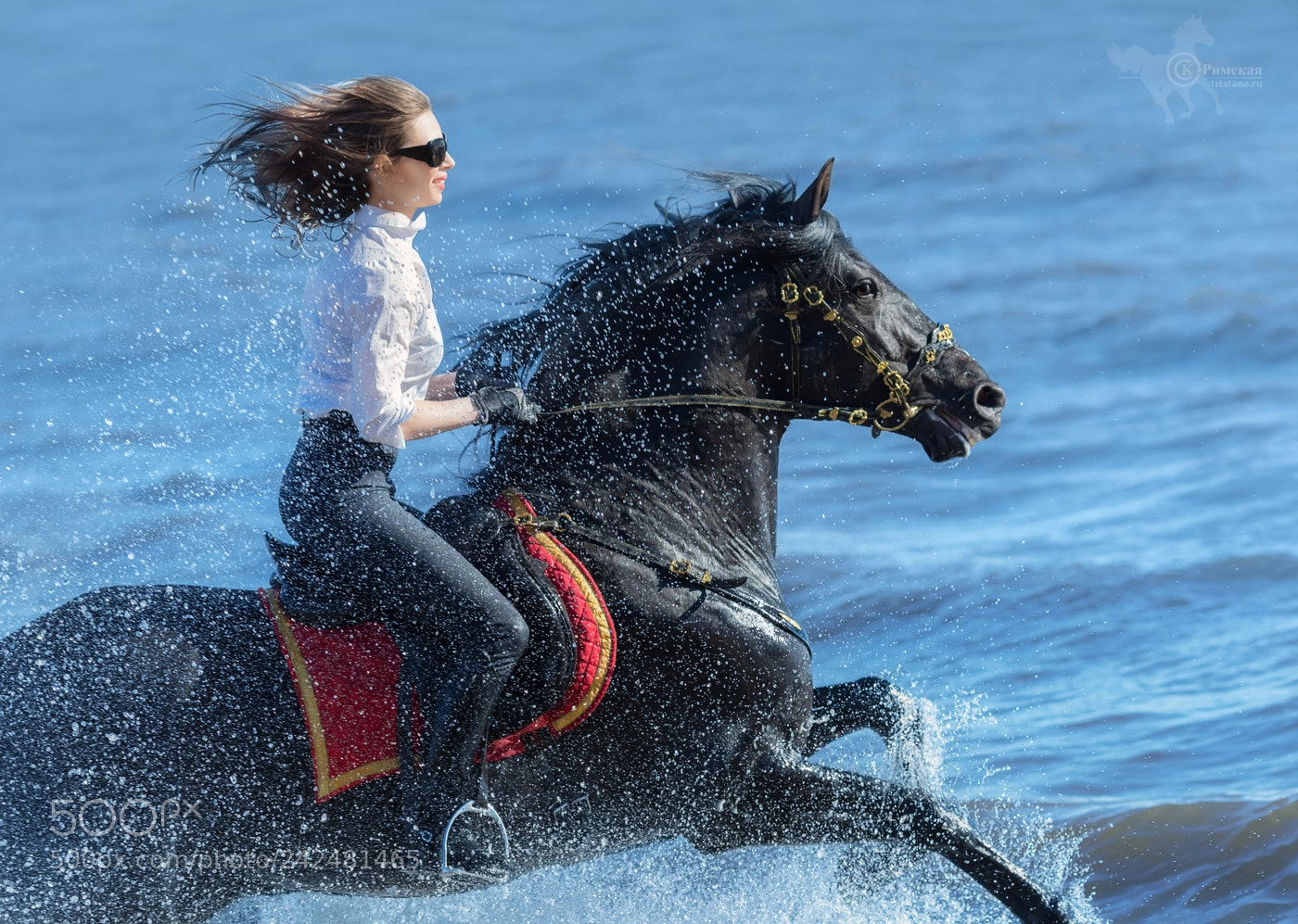 Canon EOS 7D Mark II sample photo. Horse woman and spanish photography