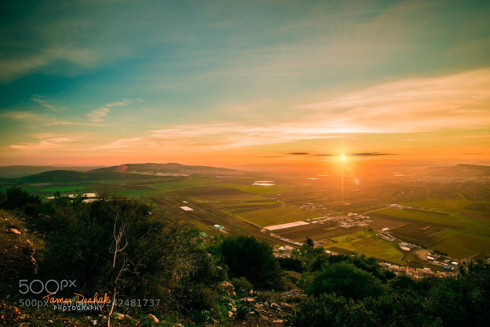 Nikon D800 sample photo. Jezreel valley photography