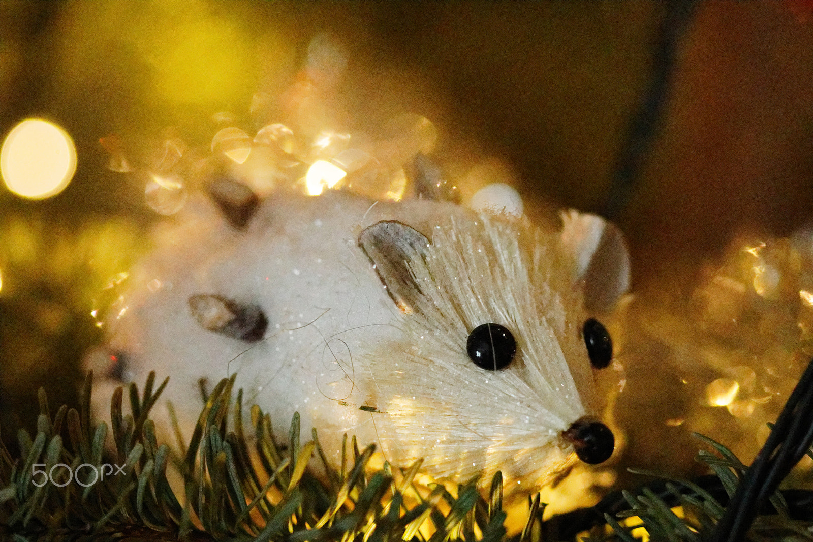 Canon EF 100mm F2.8 Macro USM sample photo. Goodbye christmas photography