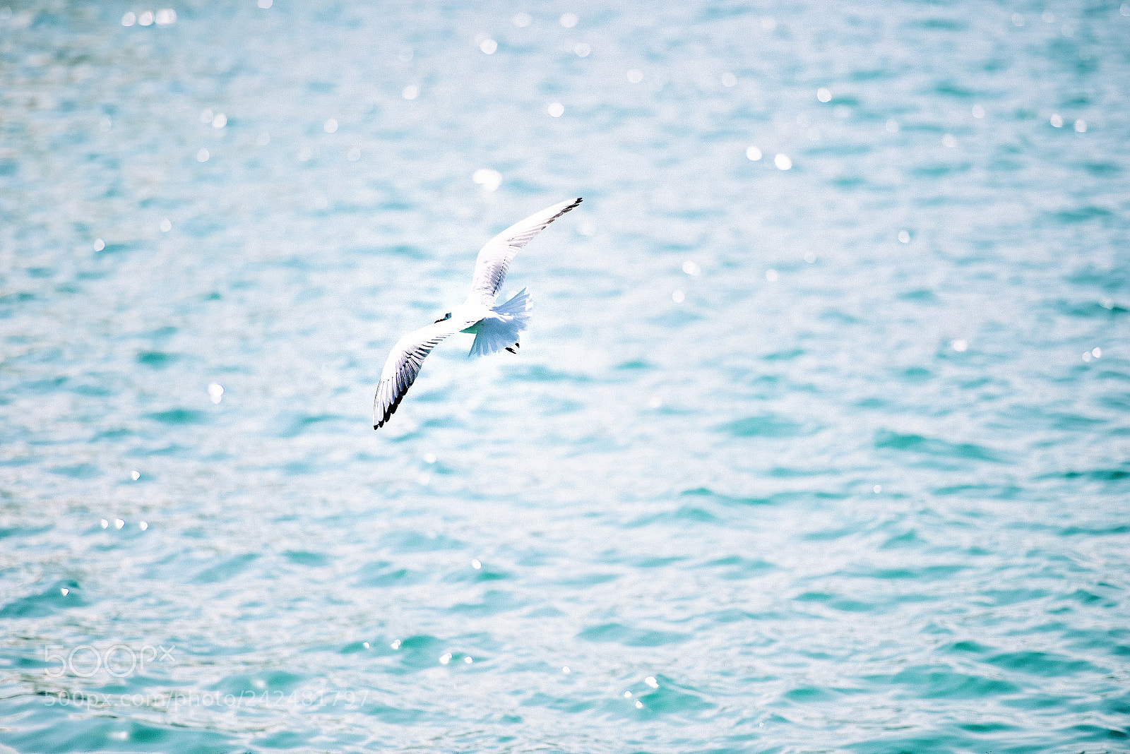 Nikon D810 sample photo. On the sea photography