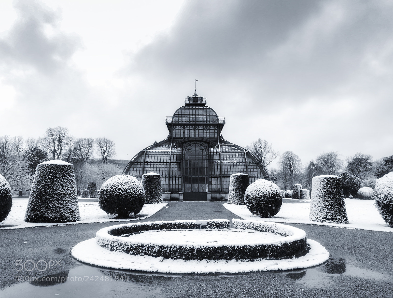 HUAWEI P9 sample photo. Palm house in winter photography