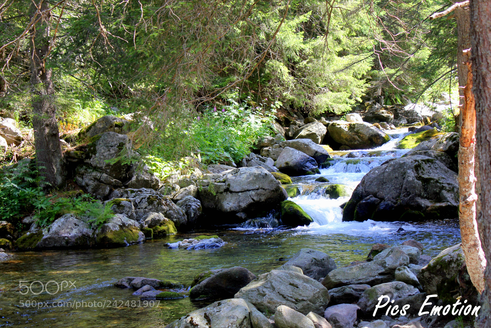 Canon EOS 550D (EOS Rebel T2i / EOS Kiss X4) sample photo. Back country nice photography