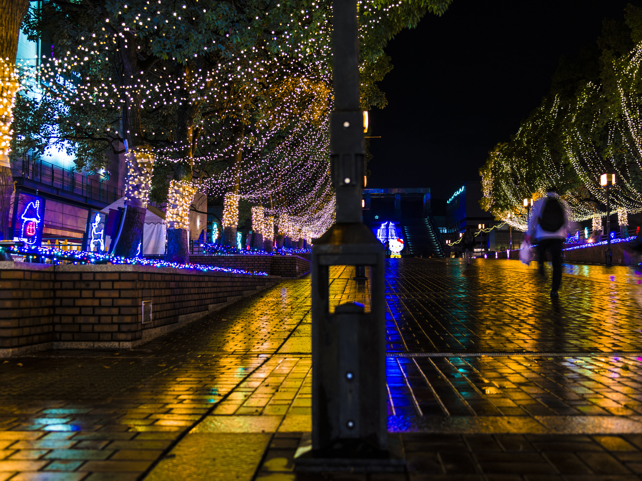 Pentax 645D sample photo. Lonely rainy night photography