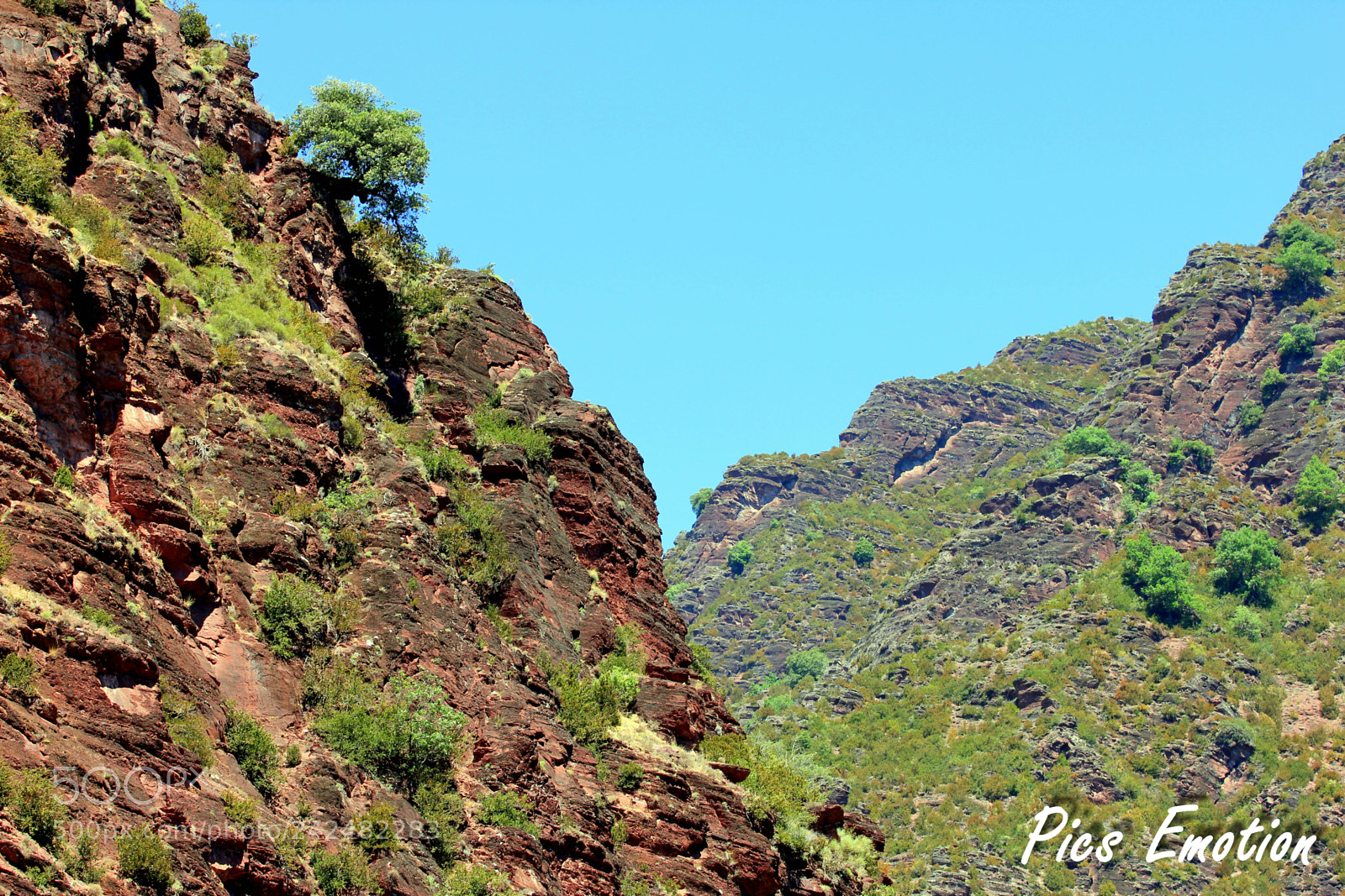 Canon EOS 550D (EOS Rebel T2i / EOS Kiss X4) sample photo. Back country nice photography
