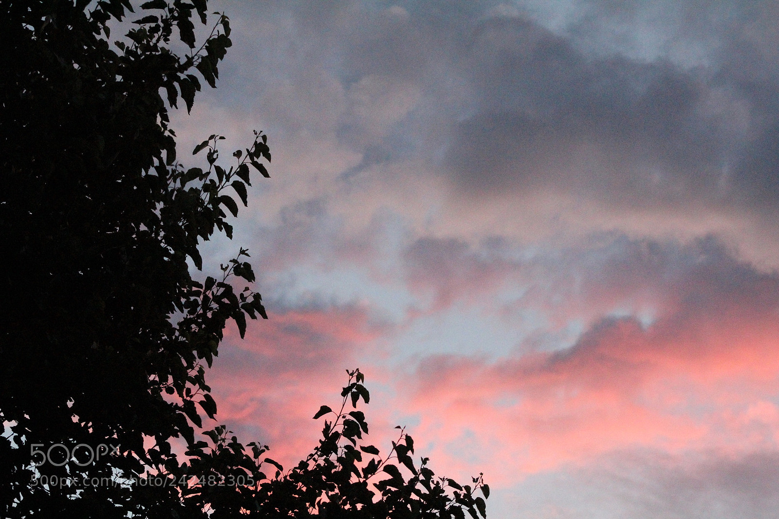 Canon EOS 1300D (EOS Rebel T6 / EOS Kiss X80) sample photo. Sunset i photography