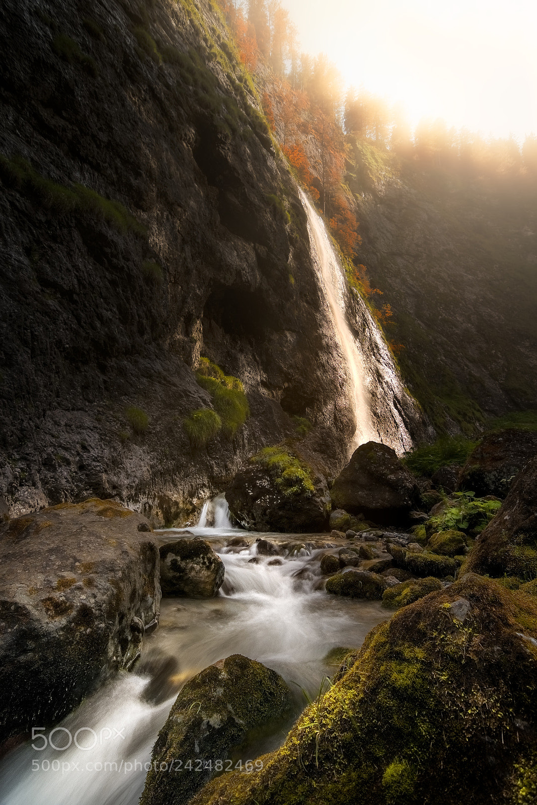 Nikon D500 sample photo. The golden waterfall photography