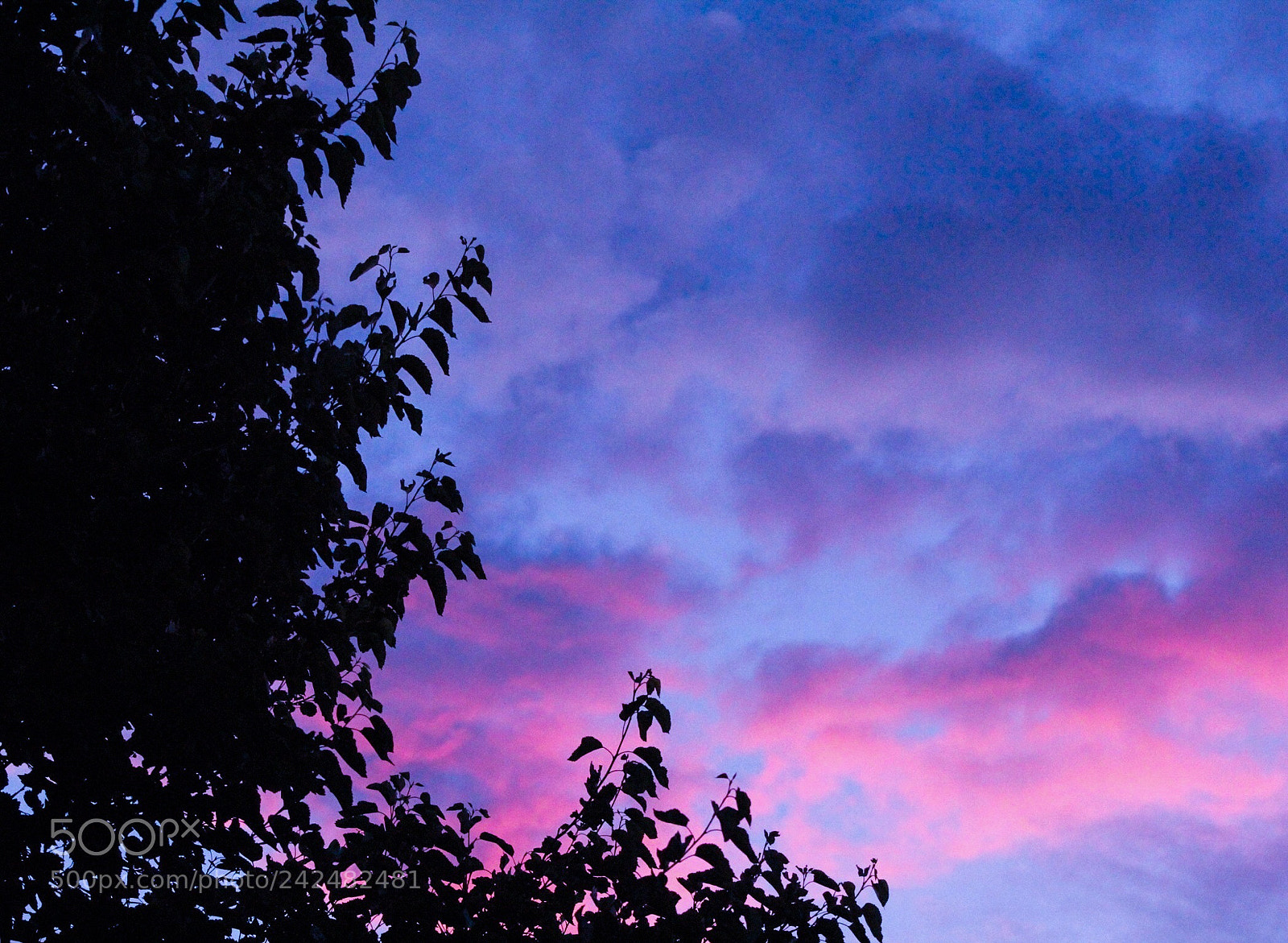 Canon EOS 1300D (EOS Rebel T6 / EOS Kiss X80) sample photo. Sunset iv photography